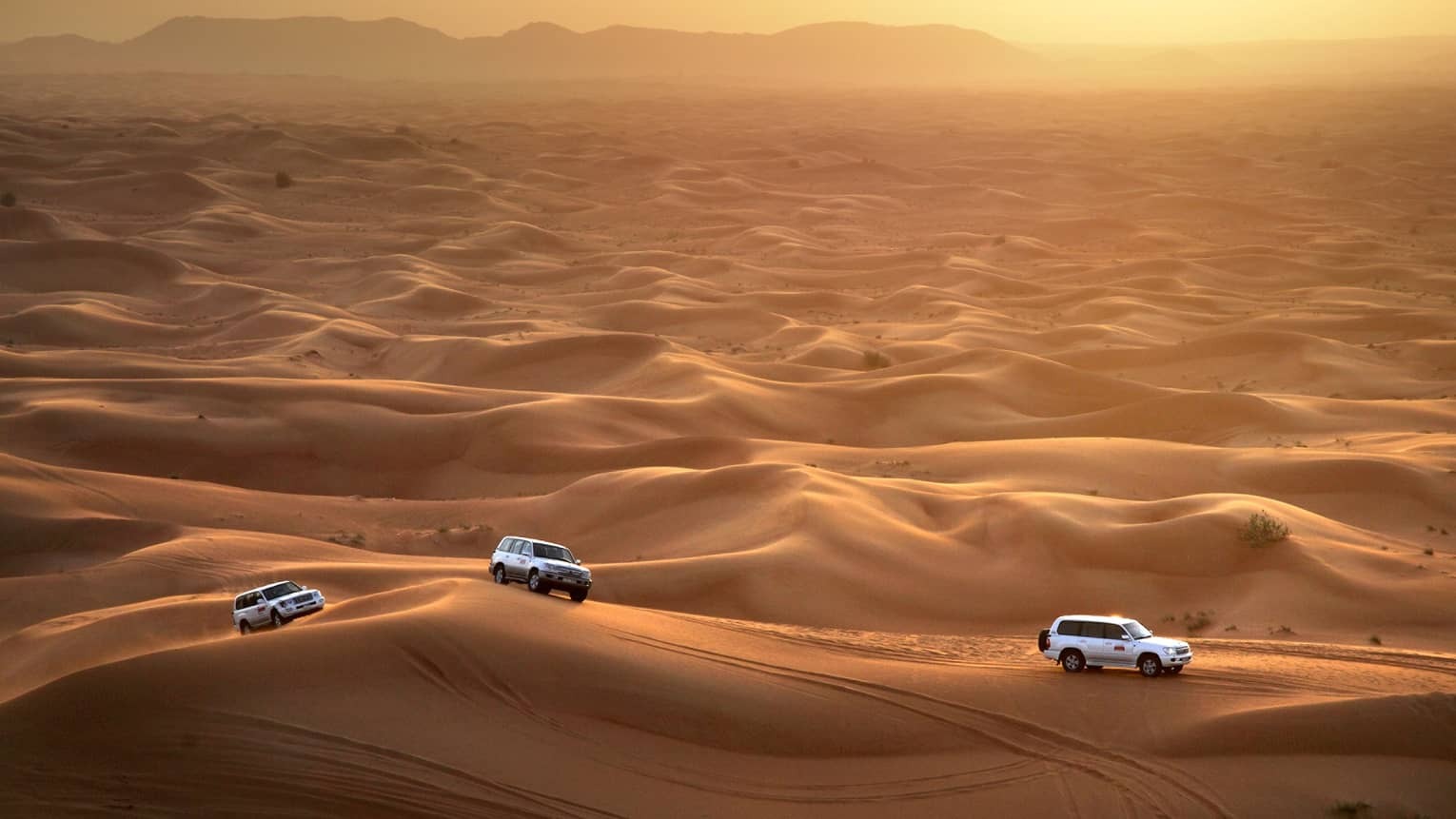 Desert Safari for Corporate Groups: Complete Guide